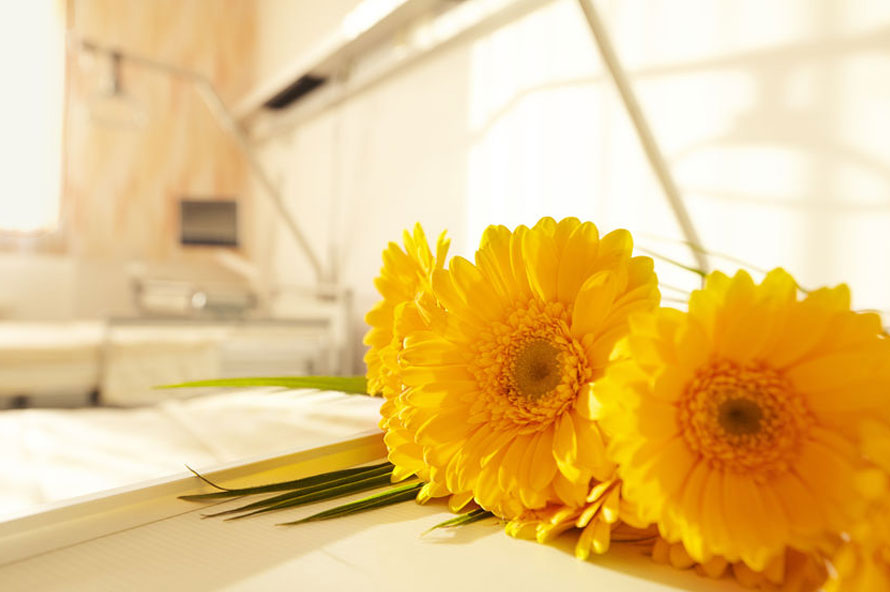 סרטן צוואר הרחם, סרטן השחלה, וירוס הפפילומה - גניקולוגיה אונקולוגית