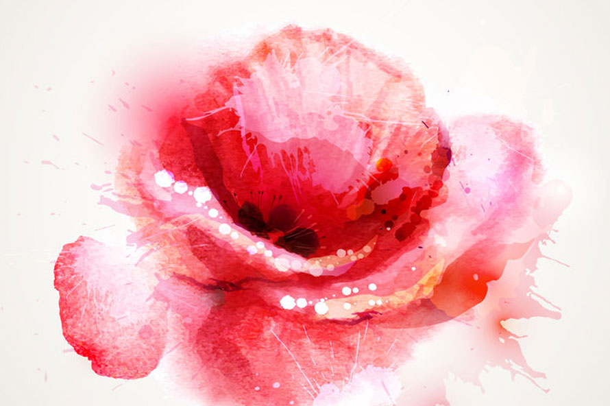 בריאות האשה כירורגיה